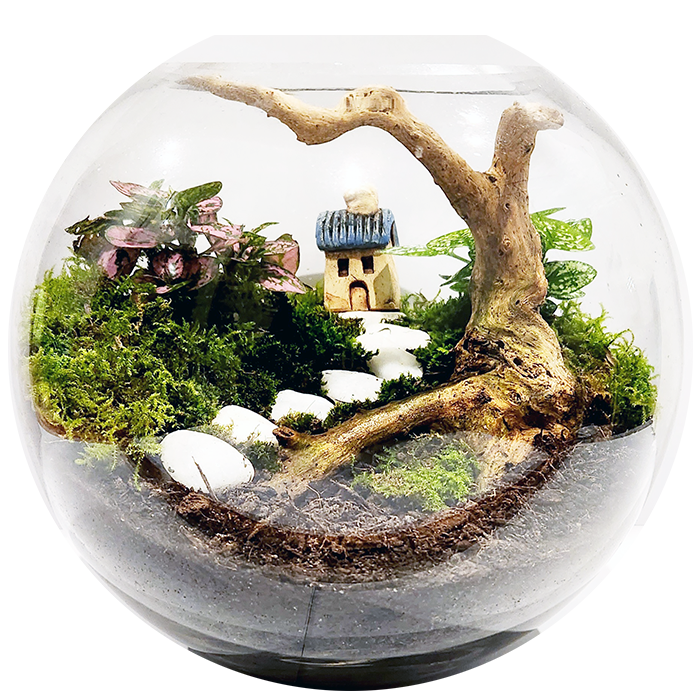 Green Tiny World Terrarium