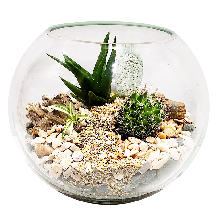 Green Tiny World Terrarium