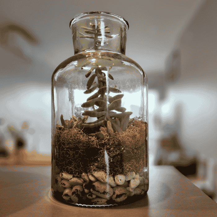Green Tiny World Terrarium