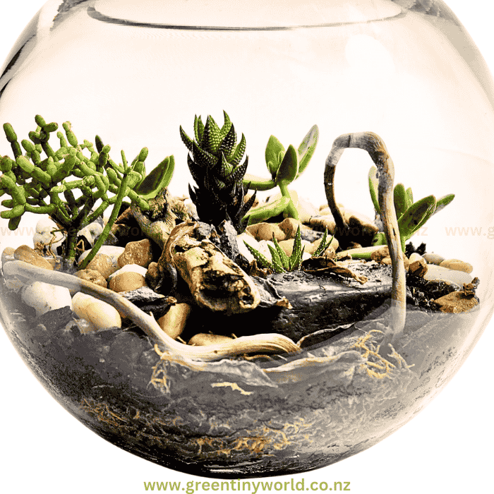Green Tiny World Terrarium