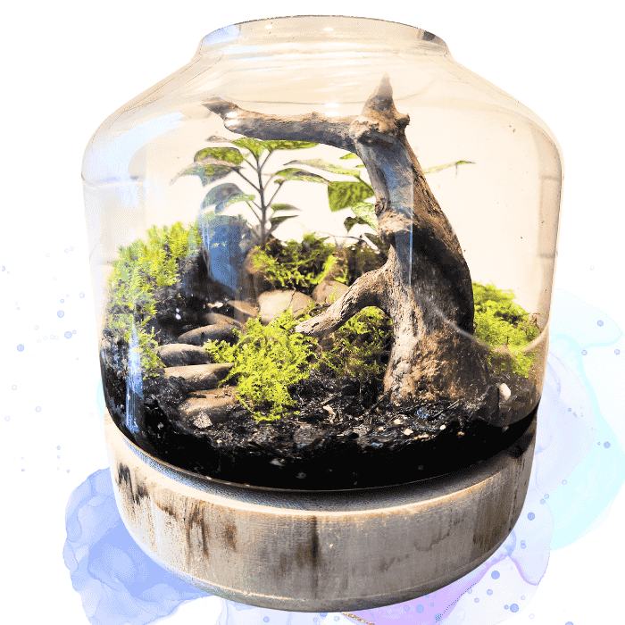 Green Tiny World Terrarium