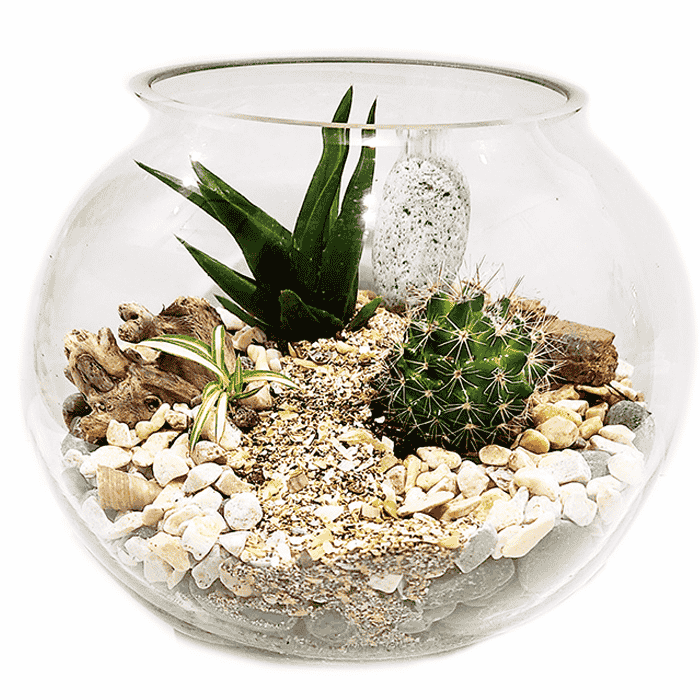 Green Tiny World Terrarium
