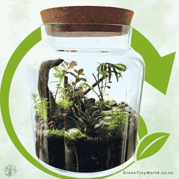 Green Tiny World Terrarium