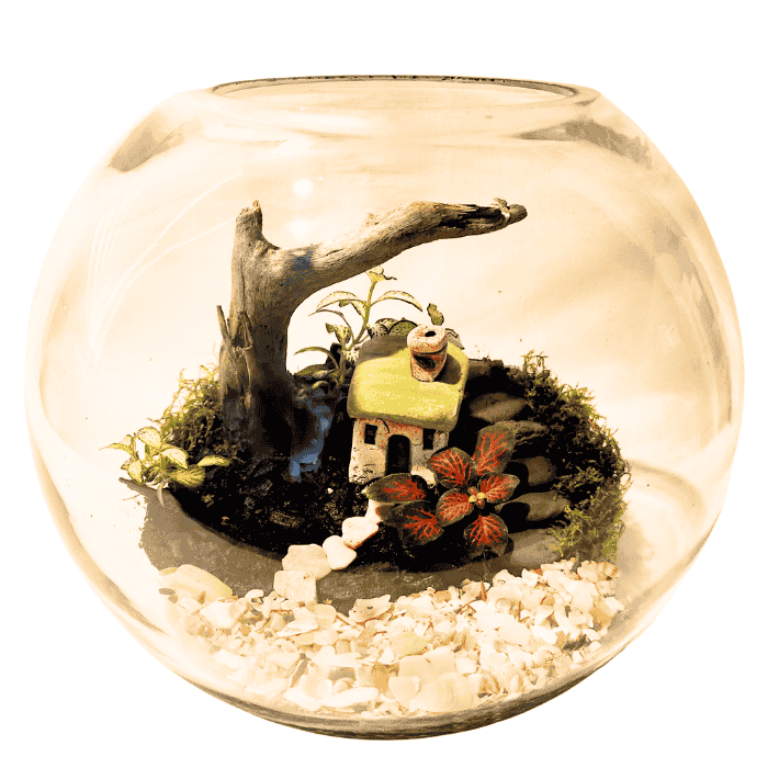 Green Tiny World Terrarium