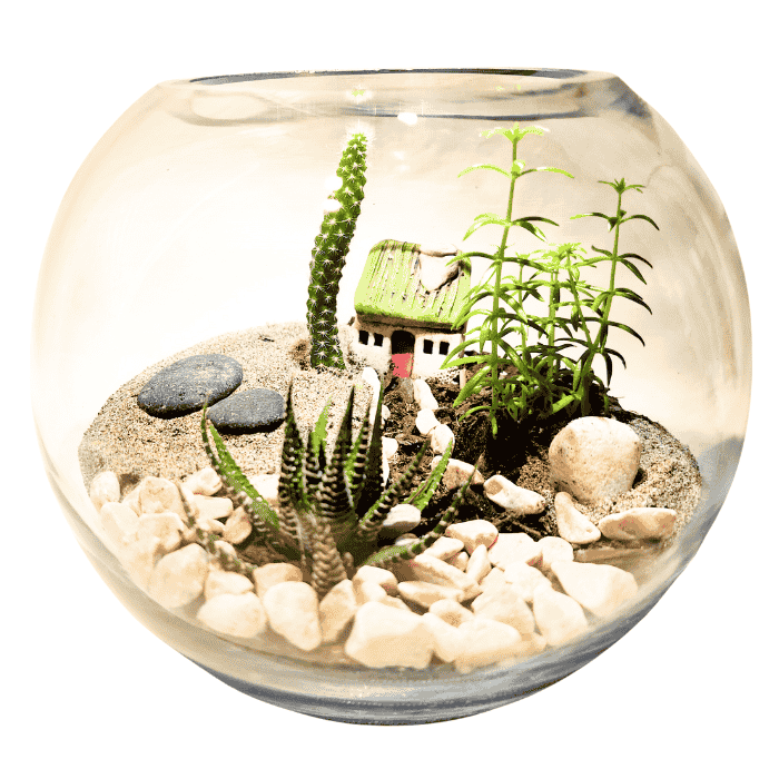 Green Tiny World Terrarium