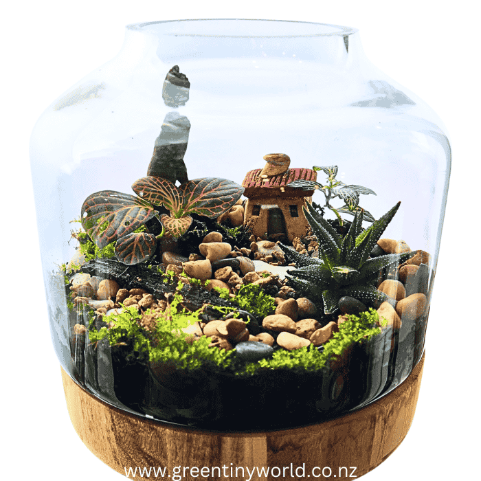 Green Tiny World Terrarium