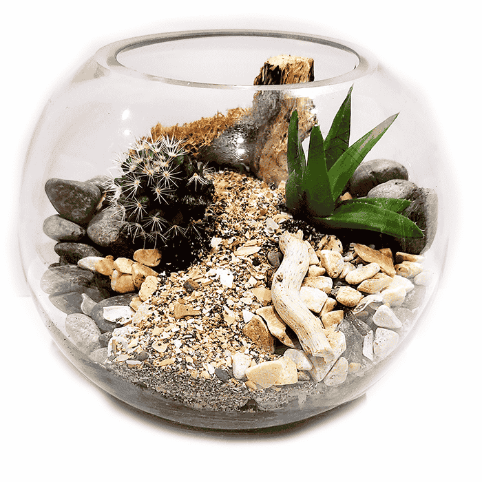 Green Tiny World Terrarium
