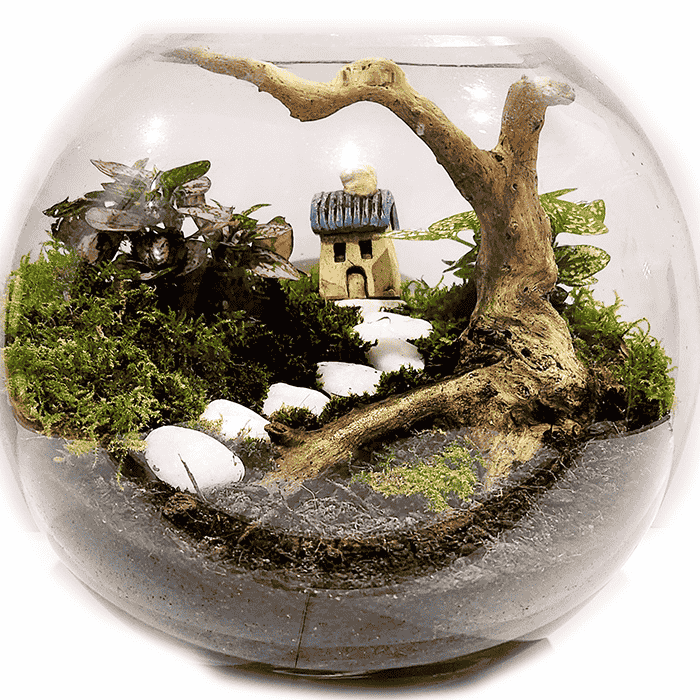 Green Tiny World Terrarium