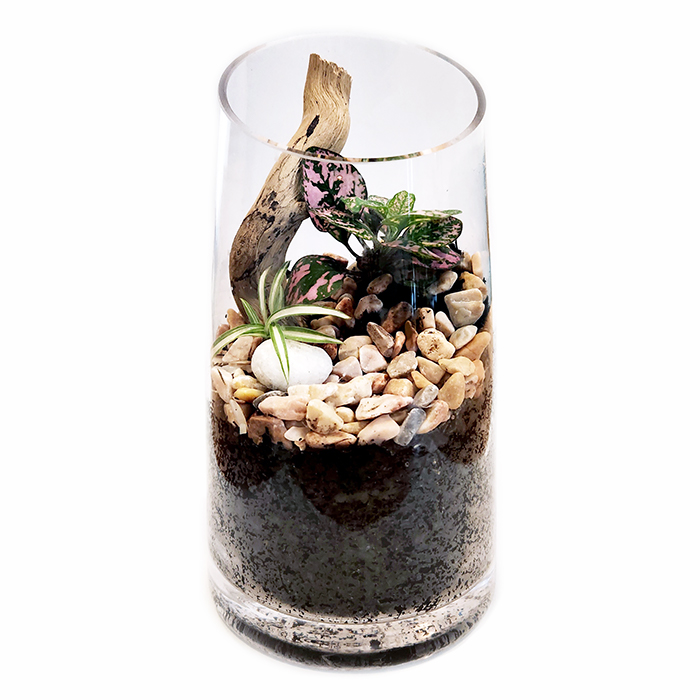 Green Tiny World Terrarium