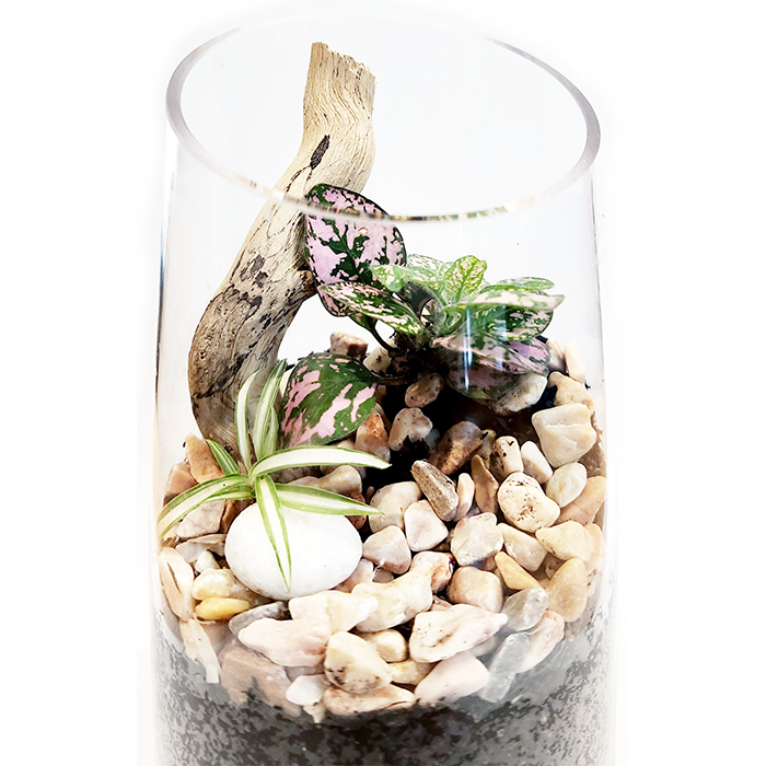 Green Tiny World Terrarium
