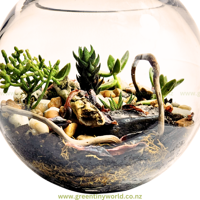 Green Tiny World Terrarium
