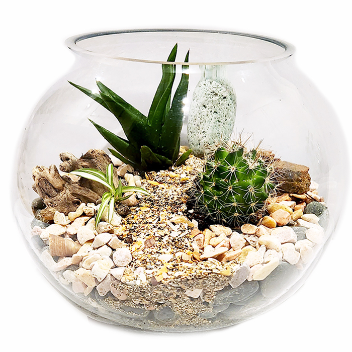 Green Tiny World Terrarium
