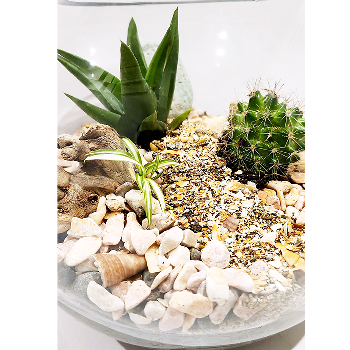Green Tiny World Terrarium