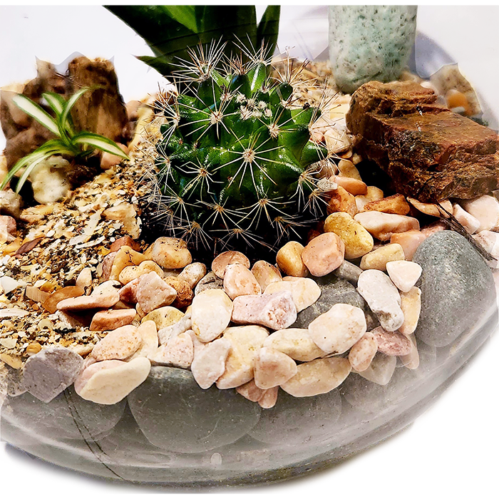 Green Tiny World Terrarium