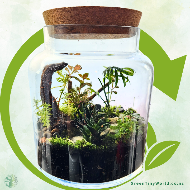 Green Tiny World Terrarium