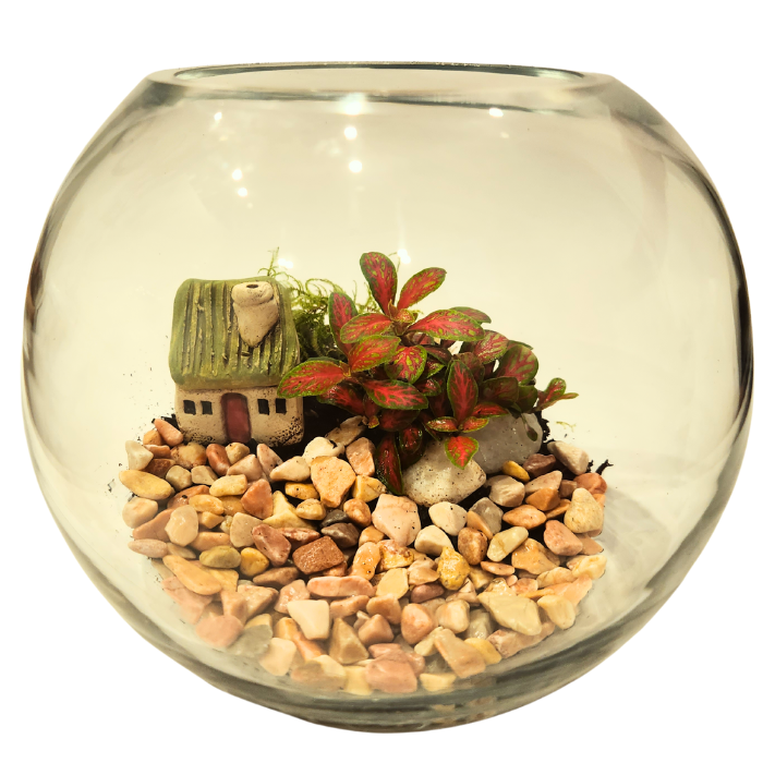Green Tiny World Terrarium