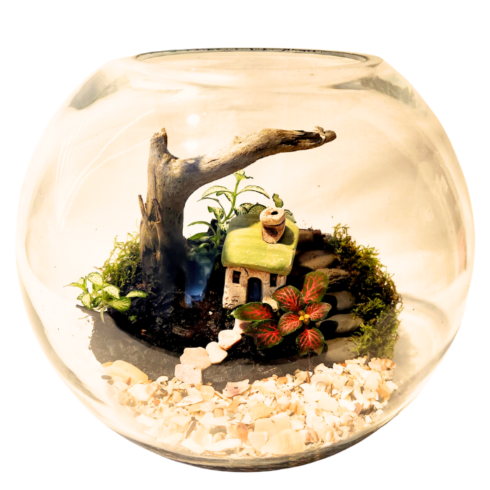 Green Tiny World Terrarium