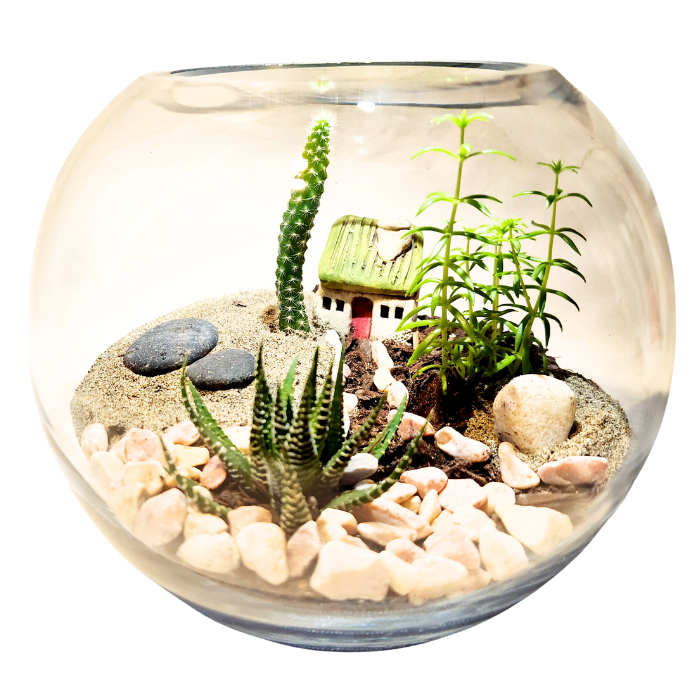 Green Tiny World Terrarium