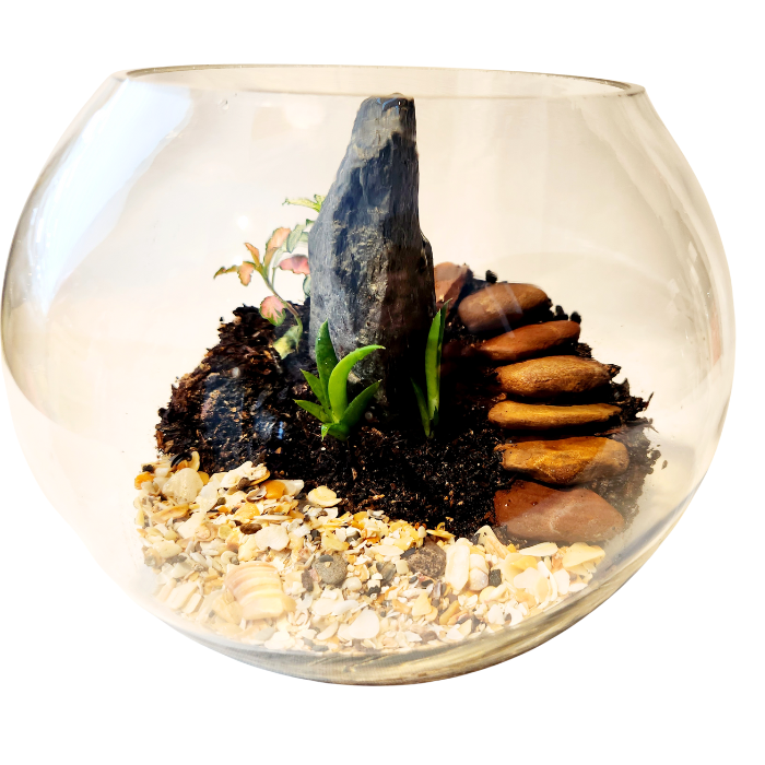 Green Tiny World Terrarium