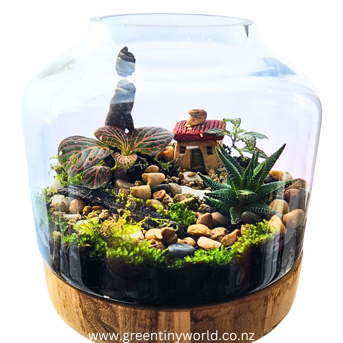 Green Tiny World Terrarium