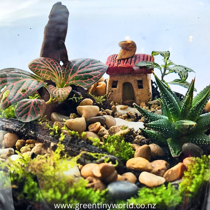Green Tiny World Terrarium